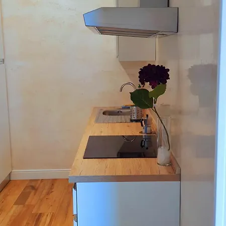 Oasis Appartement *