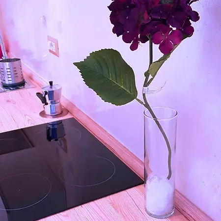 Oasis 로마